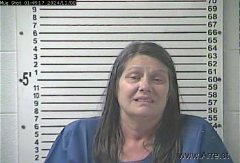 Jennifer Elizabeth Wills Mugshot