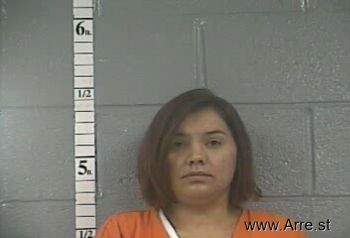 Jessica Lee Anthony Mugshot