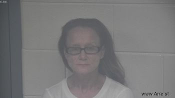 Jessica Ilaine Babcock Mugshot