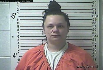 Jessica Diane Borders Mugshot