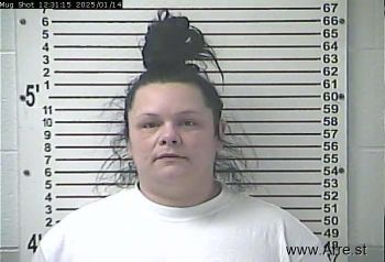 Jessica Diane Borders Mugshot