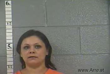 Jessica Diane Borders Mugshot