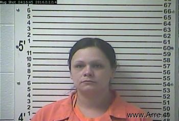 Jessica Diane Borders Mugshot