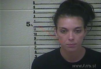 Jessica  Collins Mugshot