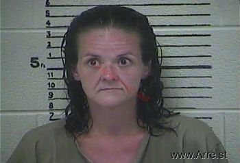 Jessica  Fields Mugshot