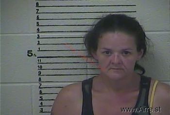 Jessica  Fields Mugshot