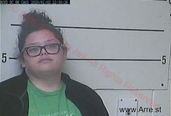 Jessica Gail Fields Mugshot