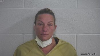 Jessica Renee Fields Mugshot