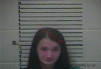 Jessica  Hensley Mugshot