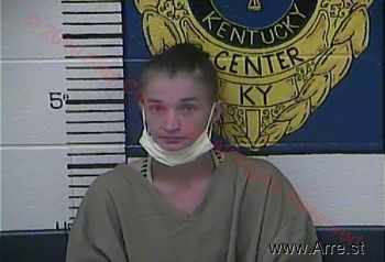 Jessica  Hensley Mugshot