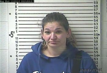 Jessica Adrienne Hicks Mugshot