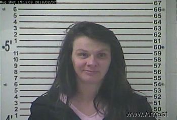 Jessica Faye King Mugshot