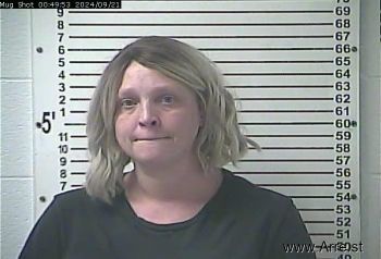 Jessica Erin King Fair Mugshot