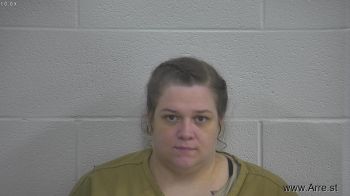 Jessica Renee Perkins Mugshot