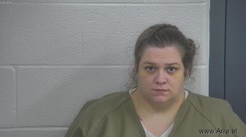 Jessica Renee Perkins Mugshot