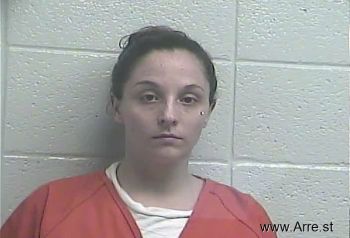 Jessica Ann Salfi Mugshot