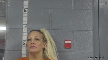 Jessica Kay Stout Mugshot