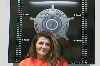 Jessica Lynn Wages Mugshot