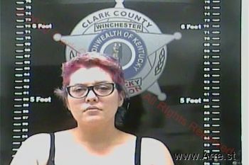 Jessica Renne Wills Mugshot