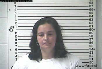 Jessica Lynn Wilson Mugshot