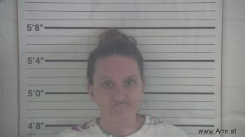 Jessica Sueann Wise Mugshot