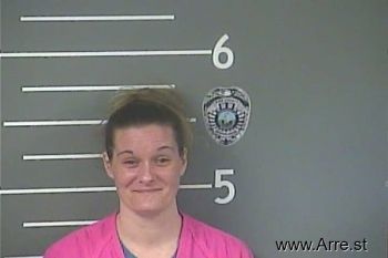 Jodi L Fowler Mugshot