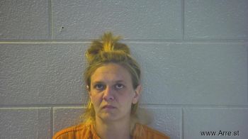 Johnette Elaine Porter Mugshot