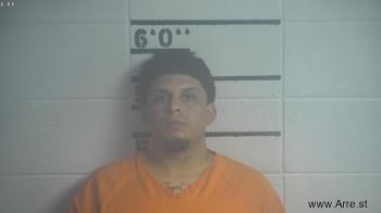 Joner Diaz Merlo Mugshot