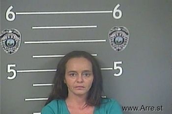 Joni  Tippett Mugshot