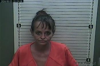 Joni  Tippett Mugshot