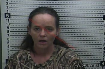 Joni Irene Tippett Mugshot