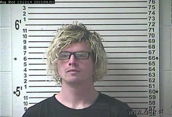 Joshua Michael Laroche Mugshot