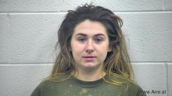 Joy Dannielle Arns Mugshot