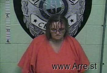 Julie Lynn Blevins Mugshot