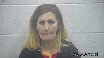 Julie Ann Carpenter Mugshot