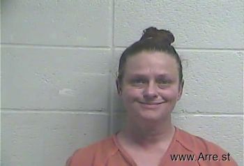 Julie  Johnson Mugshot