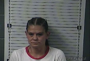 Julie Ann Johnson Mugshot