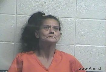 Julie A Johnson Mugshot