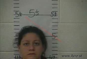 Julie  Johnson Mugshot