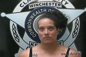 Julie Ann Martin Mugshot