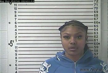 Julissa Valavia Lovick Mugshot