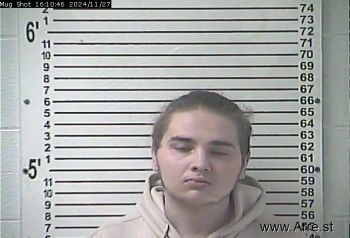 Justin Alexander Zarling Mugshot