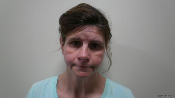 Jamie Sue Davis Mugshot