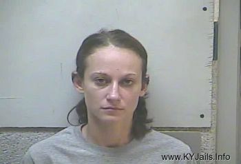 Jamie Lyn Morgan   Mugshot