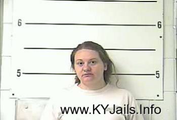 Jerri Lynn Barrett   Mugshot