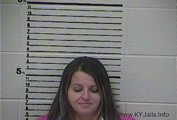 Jill Sizemore   Mugshot