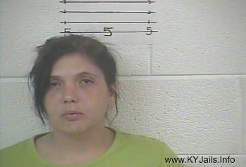 Johna Lee Couch   Mugshot