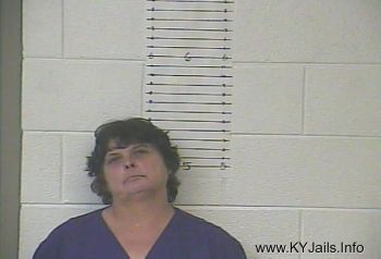 Joyce Ann Minton   Mugshot