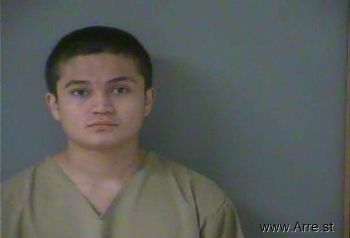 Jusniel  Ramirez-ibarra Mugshot