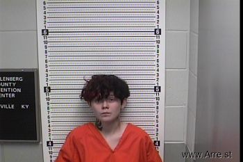 Kaitlyn Ciara Smith Mugshot